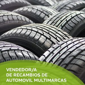 VENDEDOR/A DE RECAMBIOS DE AUTOMOVIL MULTIMARCAS