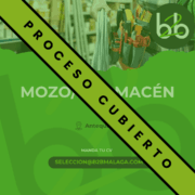 TÉCNICOA DE SOPORTE MICROINFORMÁTICO